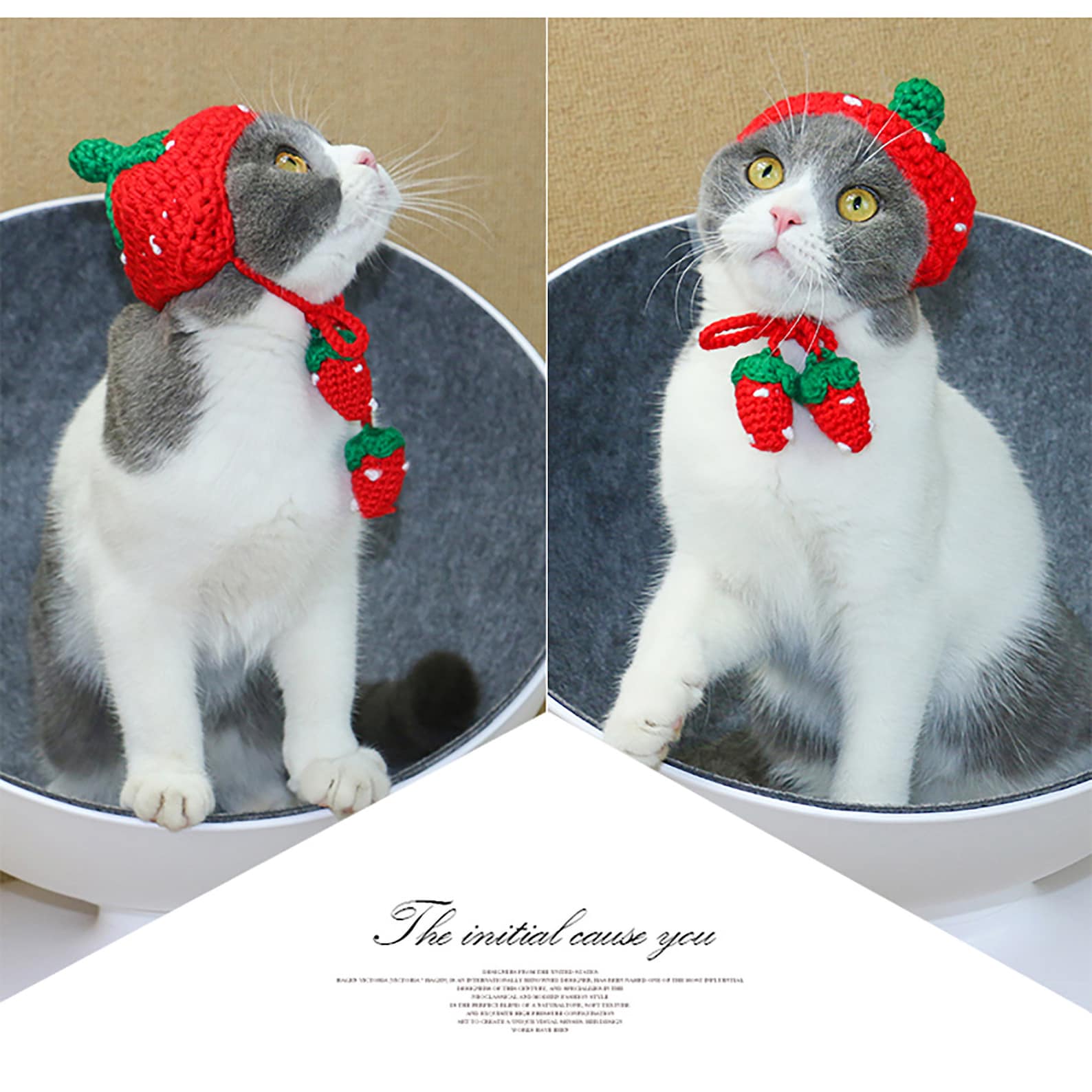 Strawberry Crochet Cat Hat Cute Handknitted Dog Hat Animals Etsy