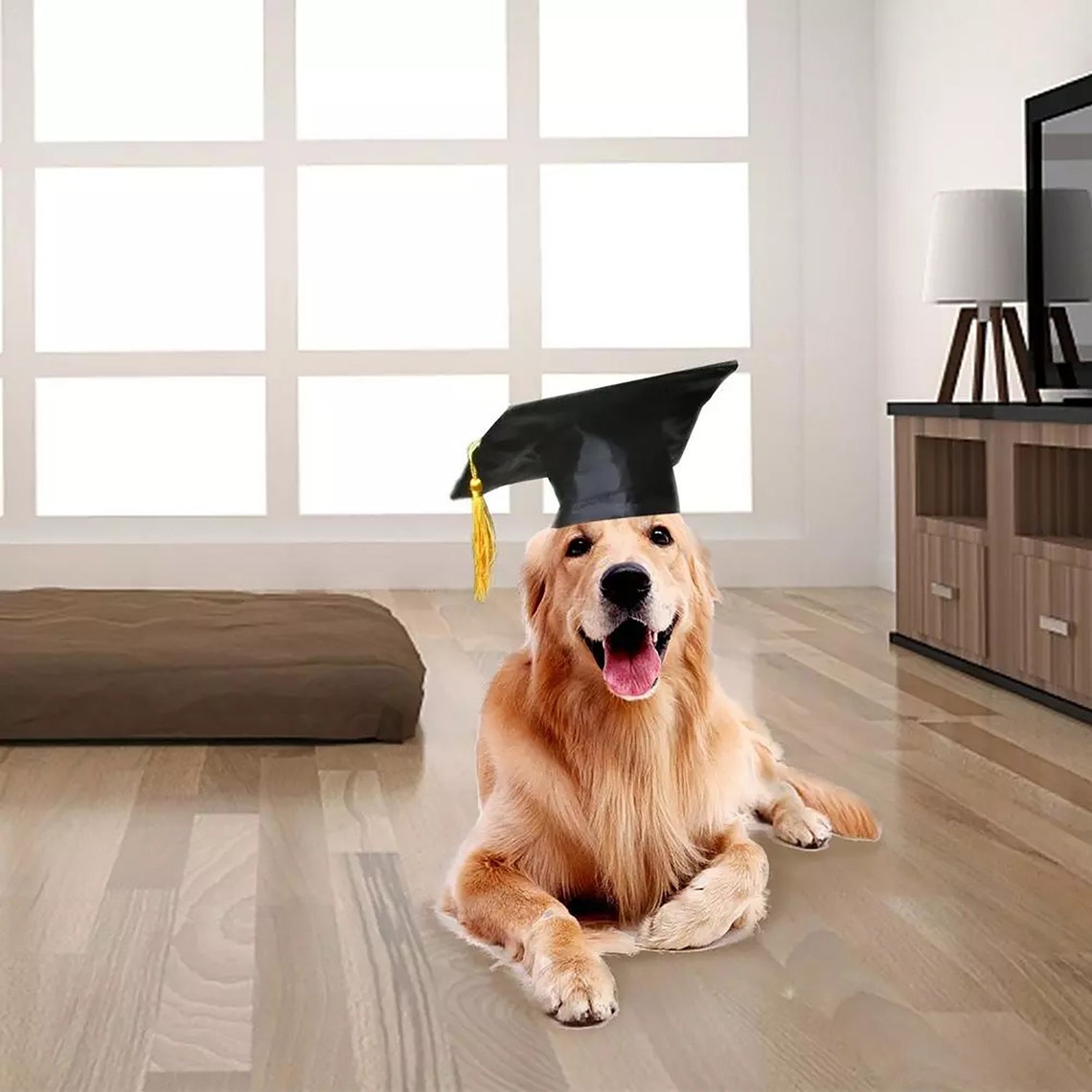 Dog Graduation Cap Graduation Hat Costume Puppy Dr. Hat Etsy