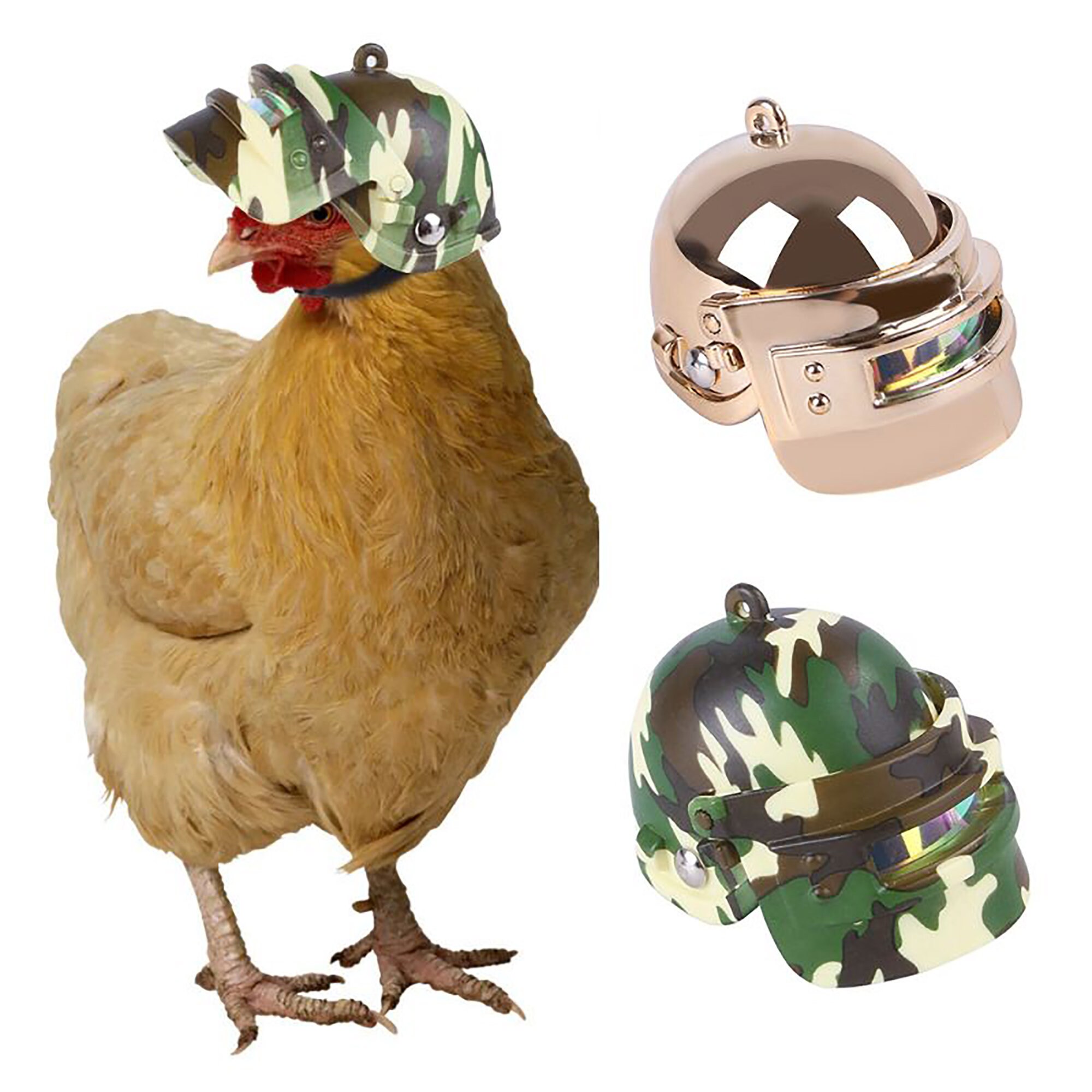 Pet Chicken Helmet Pet Safety HelmetFunny Pet HelmetBird Etsy