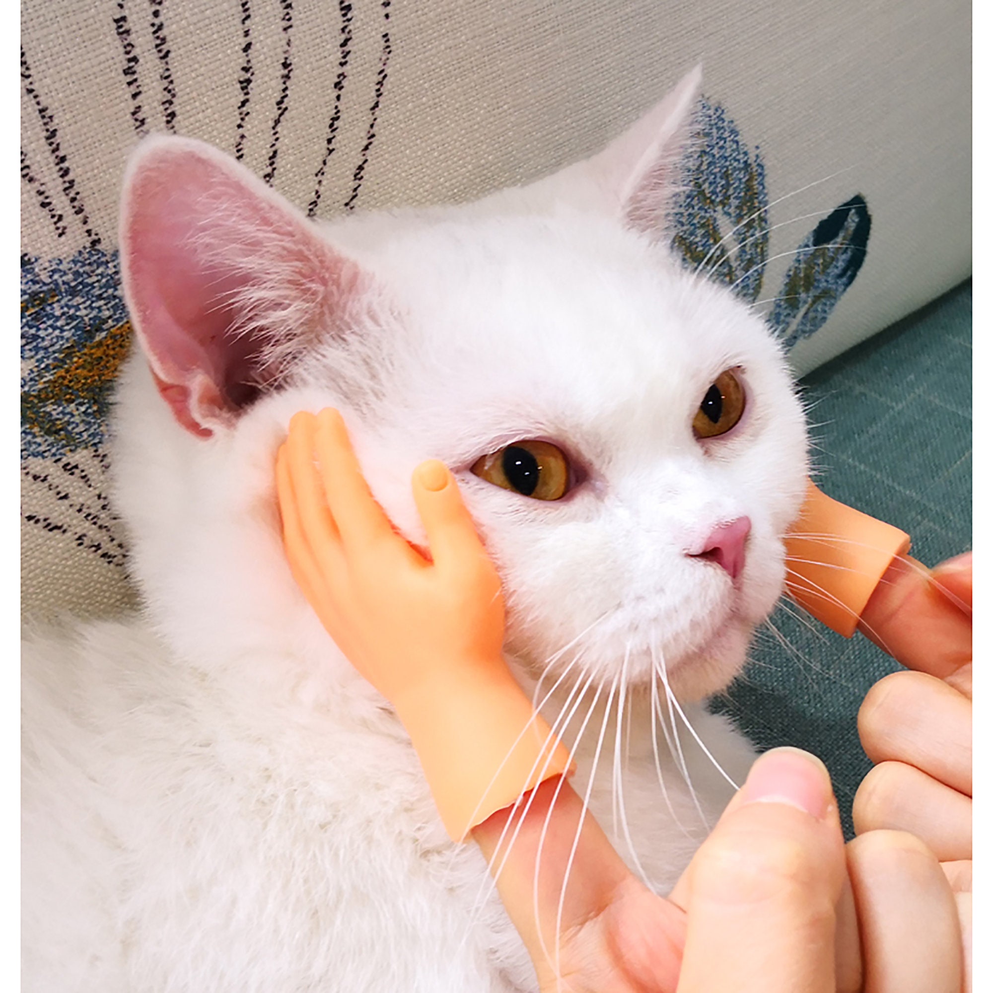 Cat Toys Funny Interactive Pet Toys Kitten Puzzle Massage Etsy