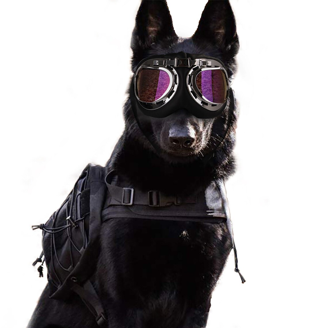 Pet Dog glasses Pet eyewear waterproof Dog Protection Etsy