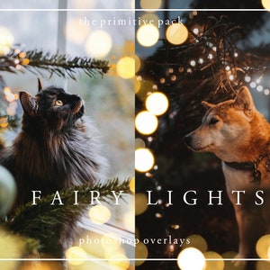 Fairy Lights bokeh - Photoshop Overlays - The Primitive Pack