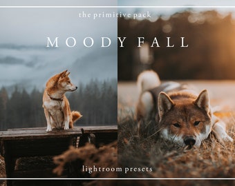 Moody Fall - Lightroom Presets - The Primitive Pack