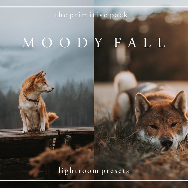 Moody Fall - Lightroom-voorinstellingen - Het primitieve pakket