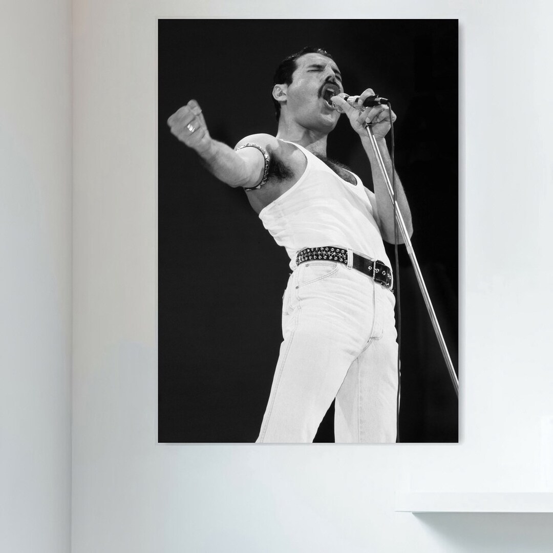 Poster Toile Freddie Mercury - Art Abstrait Musical - Impression Murale Moderne