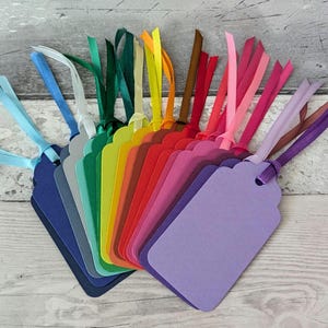 Confezione da 20 etichette regalo vuote dai colori vivaci con nastro. Crea le tue etichette.