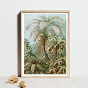 Vintage Palme Poster, Ernst Haeckel Poster, Retro tropische Blatt Pflanzen Wald Chart, antike Dschungel Wand Kunst Dekor, Natur Blumen Garten