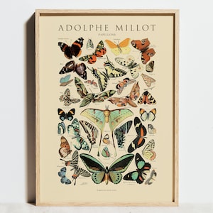 Vintage Poster, Butterfly by Adolphe Millot Print, Botanical Floral Wall Art, Retro Garden Kitchen Decor, Papillons Chart,Birthday Gift Idea