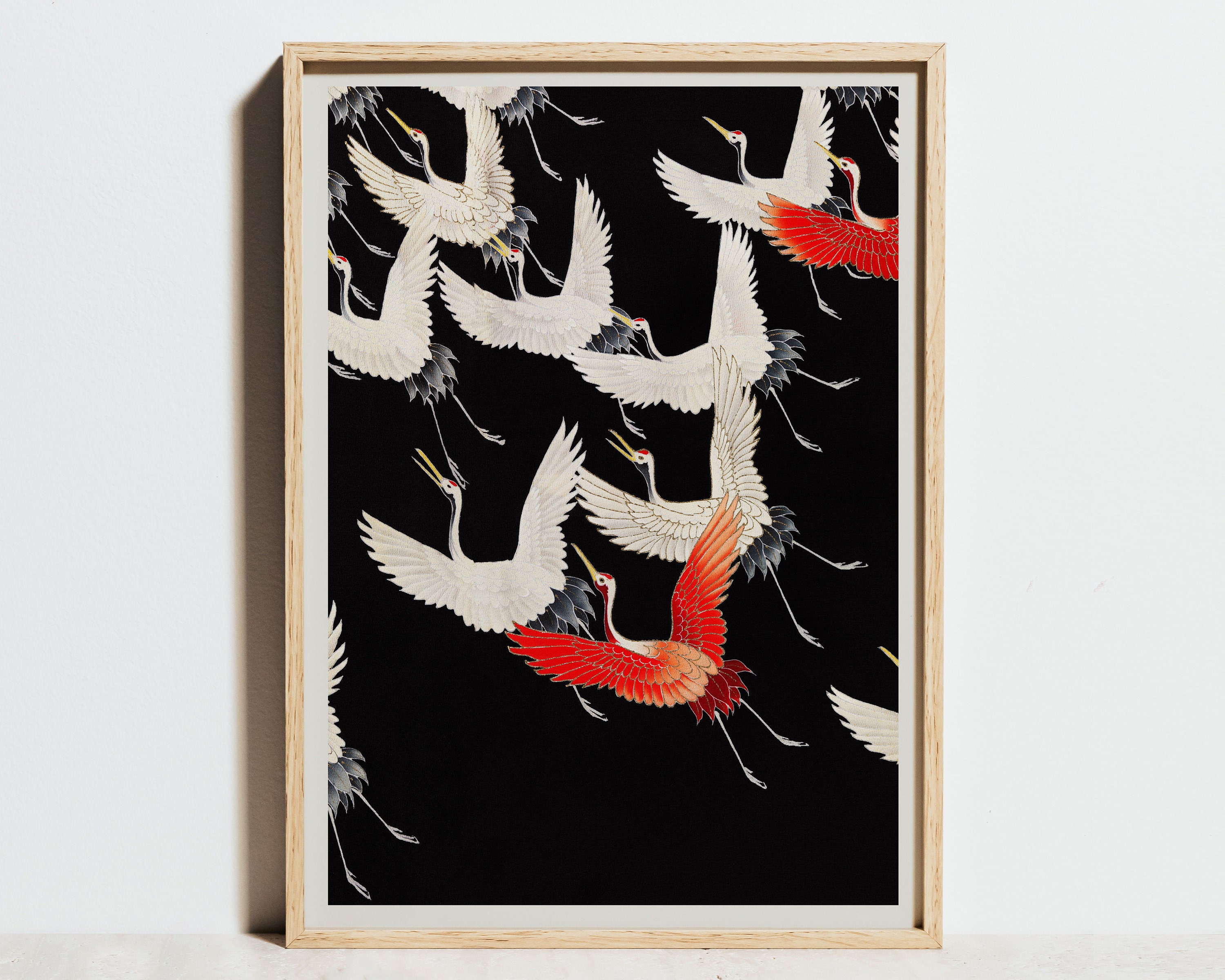 アート・デザイン・音楽 CLASSIC NATURAL HISTORY PRINTS BIRDS Amazon.com: Vintage Bird and Botanical Print Set No.6 Nature