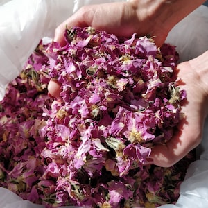 Capullos y pétalos de rosa damascena búlgaros secos naturales a granel para cosméticos, popurrí, lanzamiento de confeti para bodas y decoraciones para baby shower