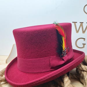 Pu&ograve; includere: Un cappello a cilindro color borgogna con un nastro nero e un pennacchio colorato.