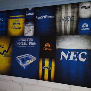 Everton FC 30x20 Inch Retro Shirt Canvas - Framed *NEW*