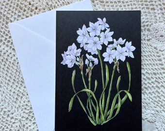 Birth Month Flower Greeting Cards: December Paperwhites