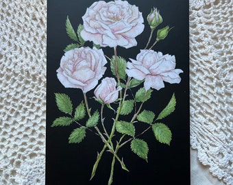 June Birth Month Flower Postcard