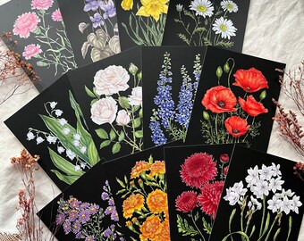 Birth Month Flower Postcard Set