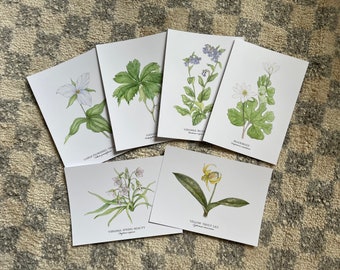 Spring Ephemerals Postcards