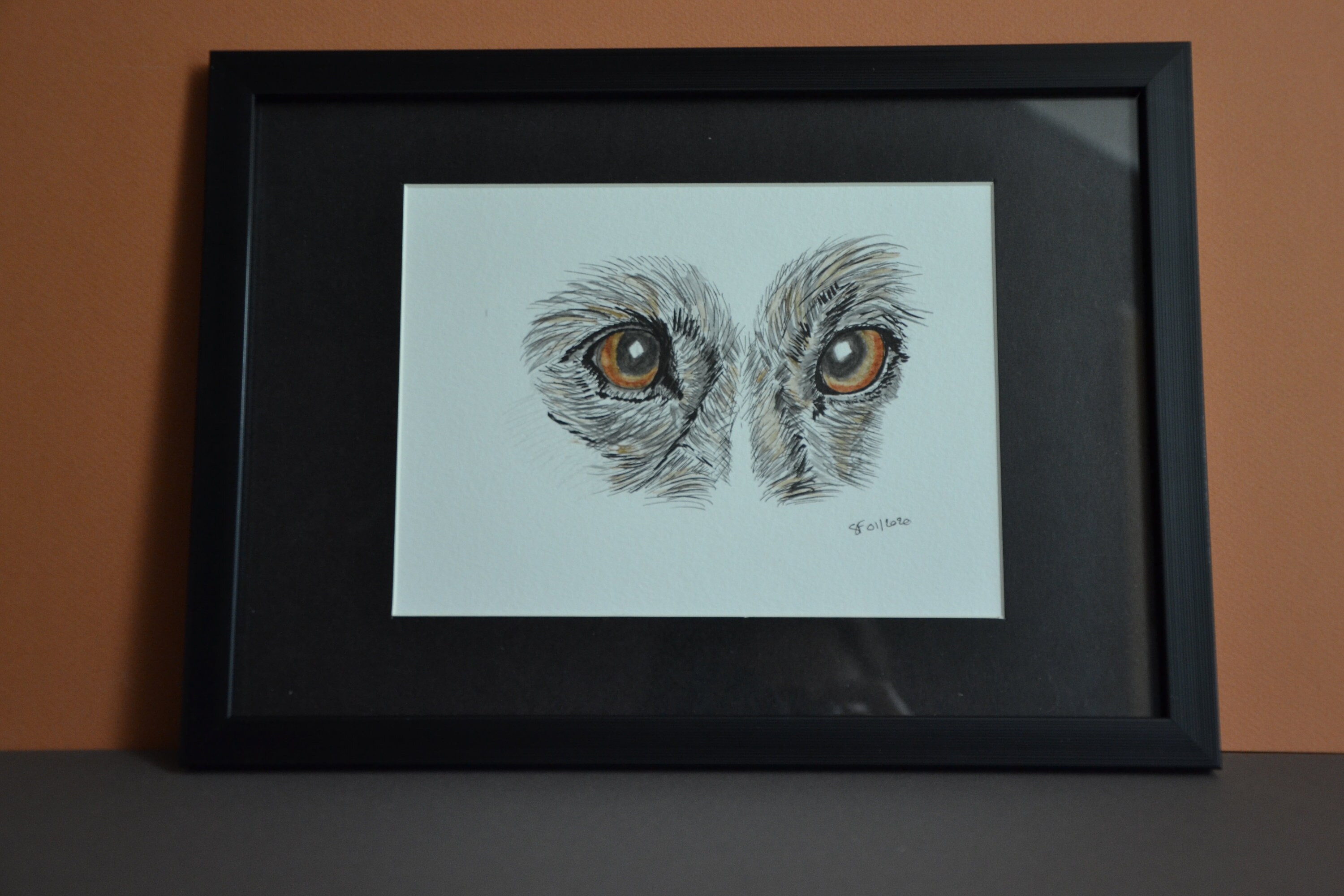 Le Regard Du Lévrier