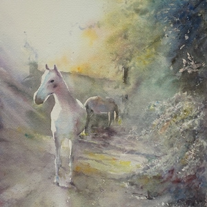 original Aquarellmalerei von Pferden &quot;Suggestion of Romeo&quot;