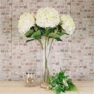 May include: A tall, clear glass vase displays a bouquet of white hydrangea flowers with green foliage. A small glass jar with a rope handle and a decorative ball sits on a wooden surface, alongside a small arrangement of green plants.