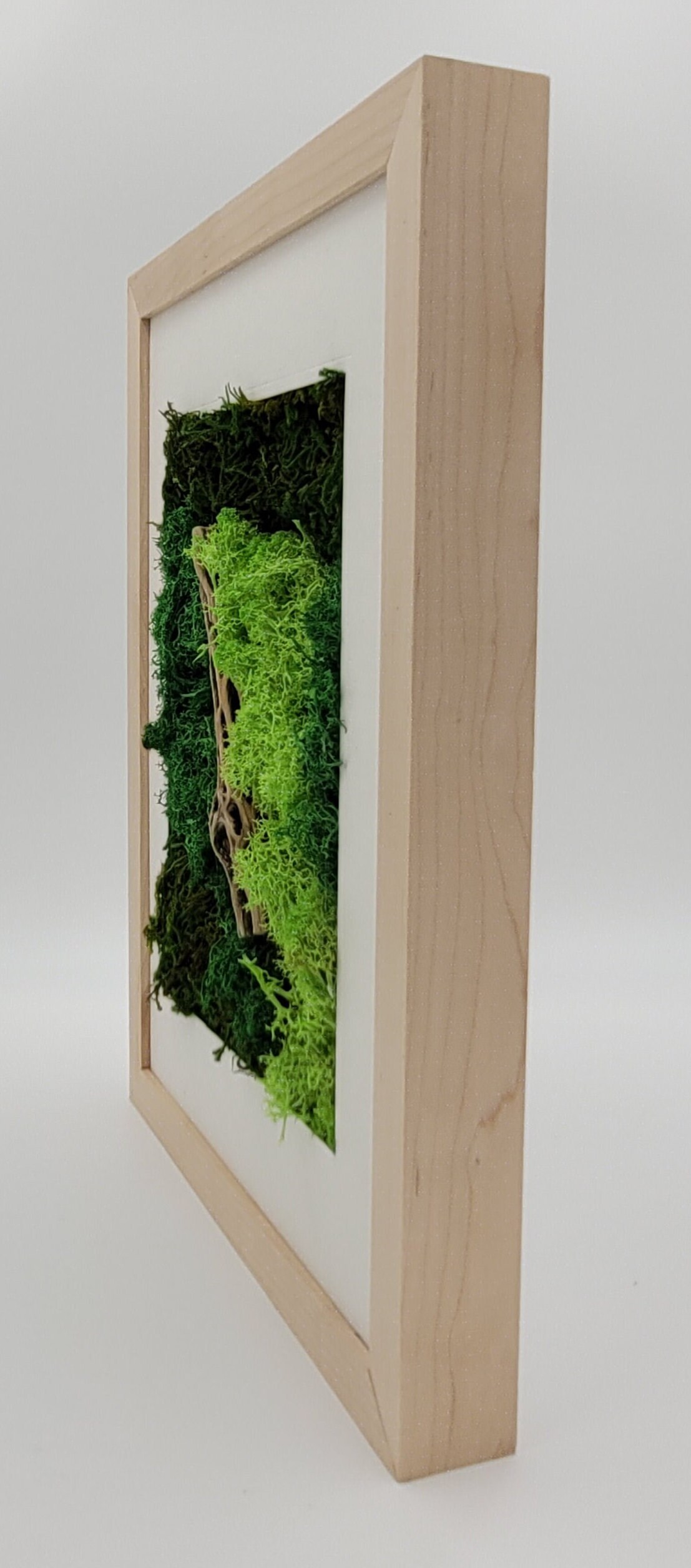 Preserved Moss Wall Art Natural Light Wood Frame Natural Art Real Preserved Plants Cholla Wood