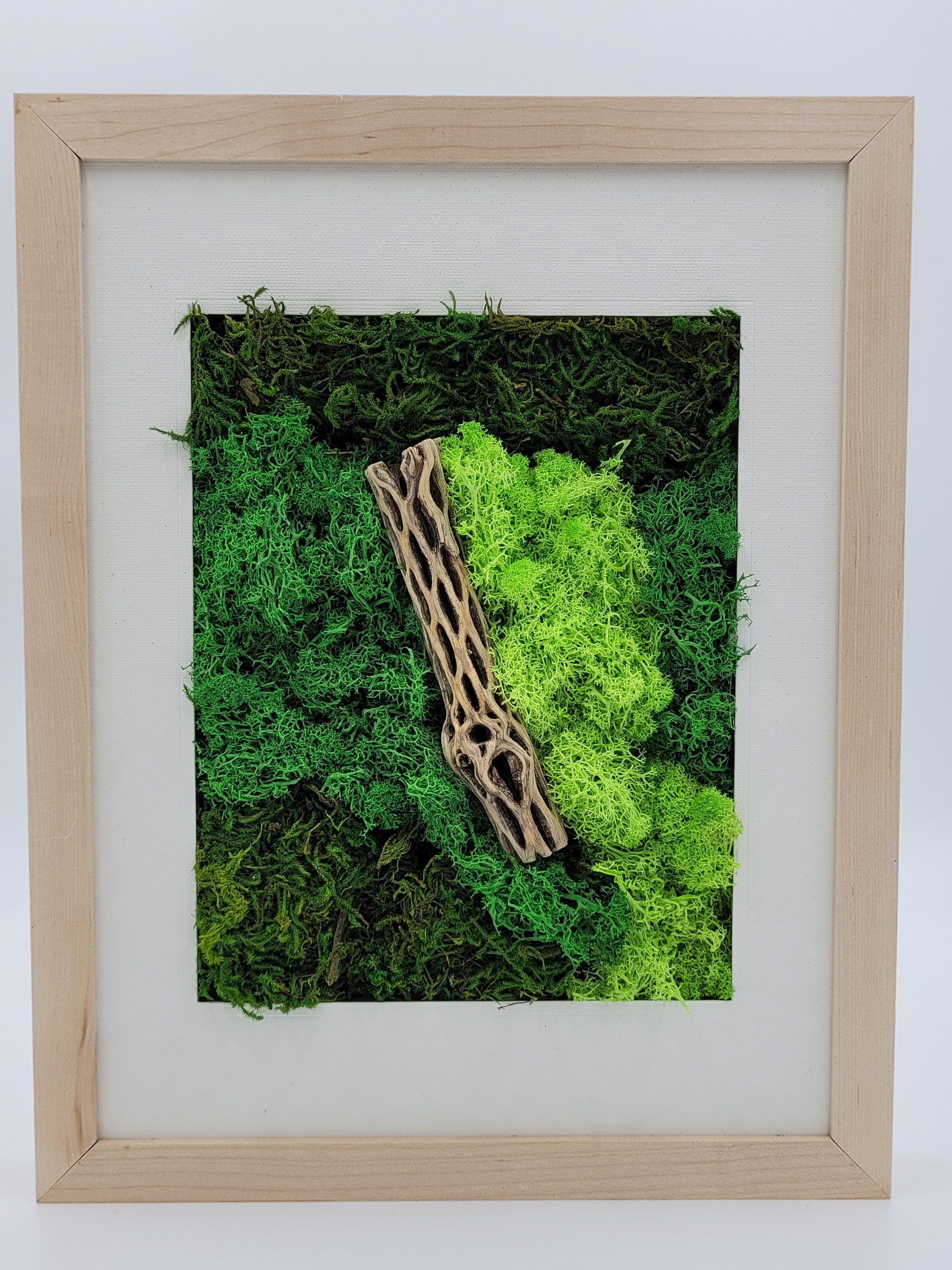 Preserved Moss Wall Art Natural Light Wood Frame Natural Art Real Preserved Plants Cholla Wood