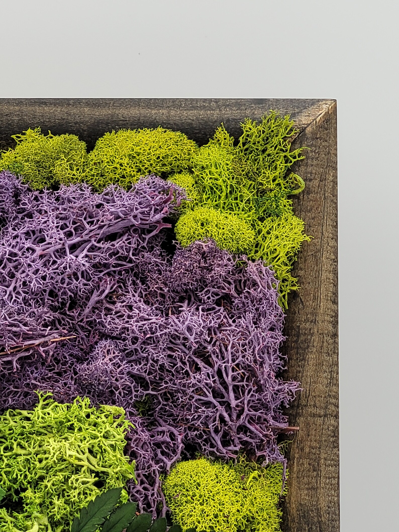 Preserved Moss Wall Art in greens and lavender No care Etsy
