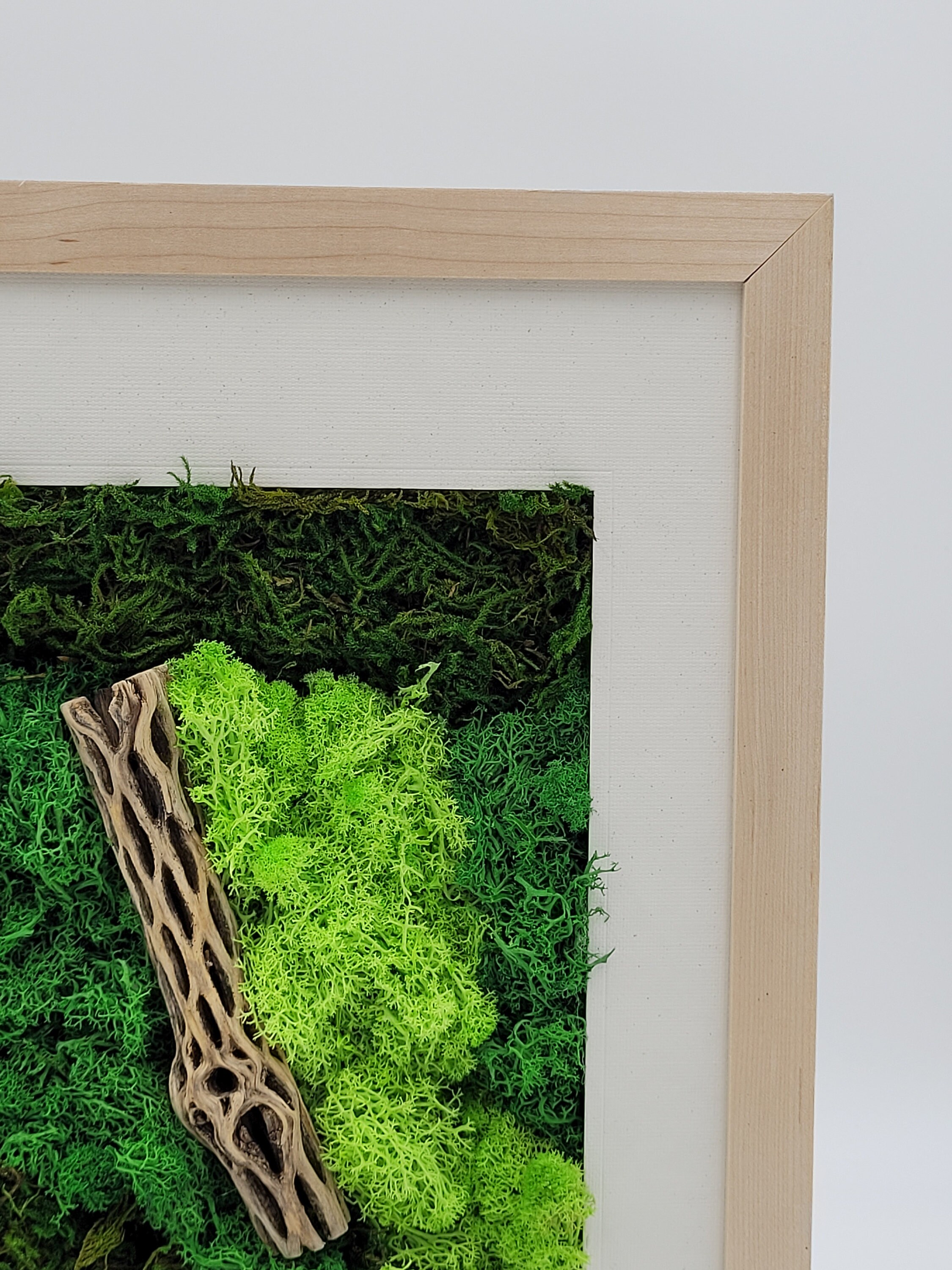 Preserved Moss Wall Art Natural Light Wood Frame Natural Art Real Preserved Plants Cholla Wood