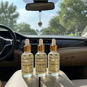 Refills for Hanging & Clip-On Car Diffusers, Car Air Freshener Diffuser Fresh Car Fragrance, Choose Your Favorite Phthalate Free Scented Oil