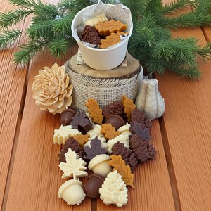 Strong Scented Fall Wax Melts, Fall Home Fragrance, Soy Beeswax Wax Melts, Fall Holiday Butterscotch Vanilla Scent, Holiday Gift for Her!