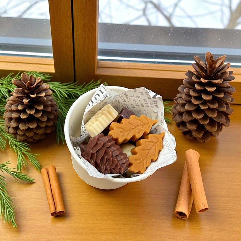 Strong Scented Fall Wax Melts, Fall Home Fragrance, Soy Beeswax Wax Melts, Fall Holiday Butterscotch Vanilla Scent, Holiday Gift for Her!