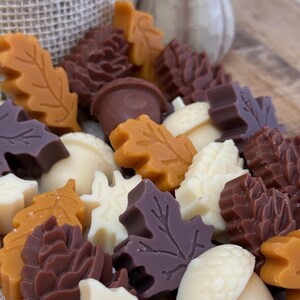 Strong Scented Fall Wax Melts, Fall Scented Wax Melts, Soy Beeswax Wax Melts, Fall Holiday Butterscotch Vanilla Scent, Holiday Gift for Her!