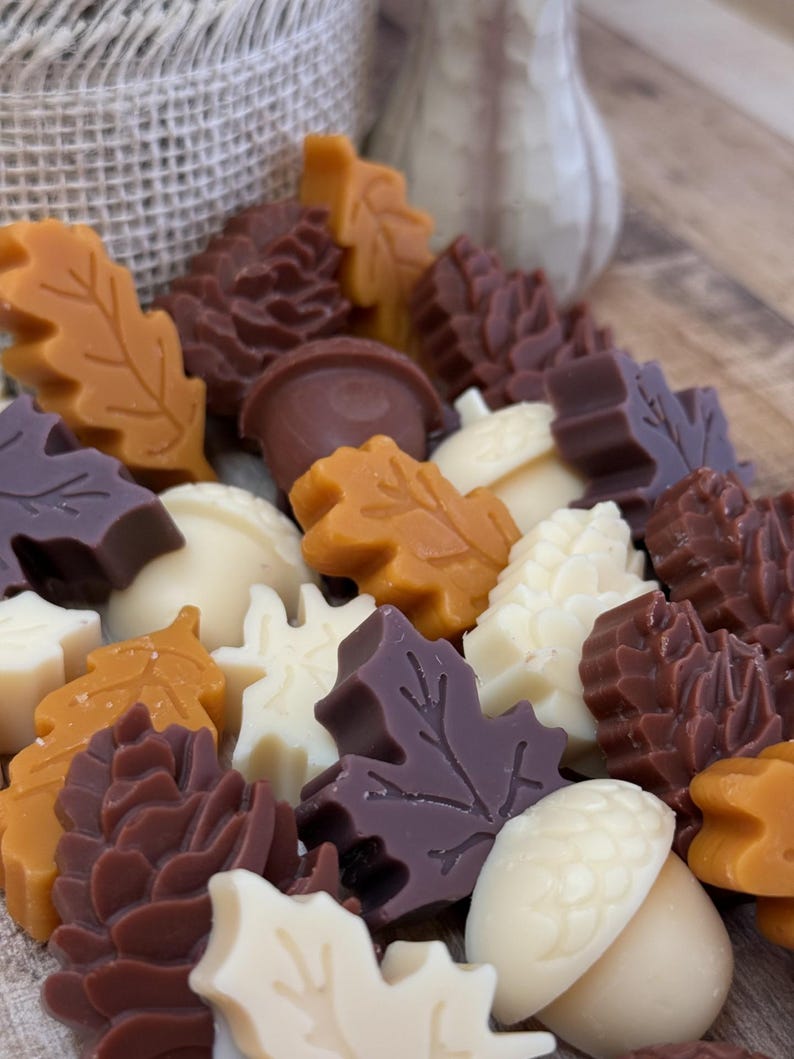 Strong Scented Fall Wax Melts, Fall Scented Wax Melts, Soy Beeswax Wax Melts, Fall Holiday Butterscotch Vanilla Scent, Holiday Gift for Her!