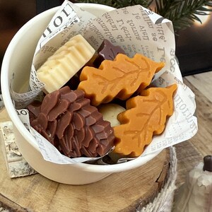 Strong Scented Fall Wax Melts, Fall Scented Wax Melts, Soy Beeswax Wax Melts, Fall Holiday Butterscotch Vanilla Scent, Holiday Gift for Her!
