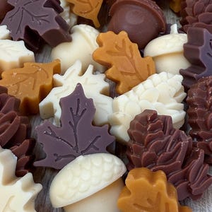 Strong Scented Fall Wax Melts, Fall Scented Wax Melts, Soy Beeswax Wax Melts, Fall Holiday Butterscotch Vanilla Scent, Holiday Gift for Her!