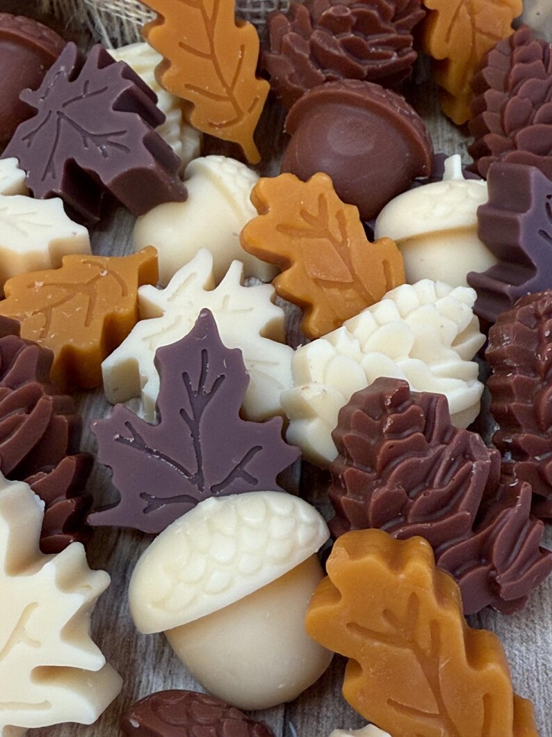 Strong Scented Fall Wax Melts, Fall Scented Wax Melts, Soy Beeswax Wax Melts, Fall Holiday Butterscotch Vanilla Scent, Holiday Gift for Her!
