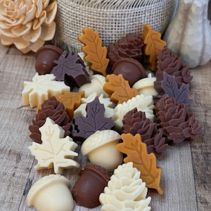 Strong Scented Fall Wax Melts, Fall Scented Wax Melts, Soy Beeswax Wax Melts, Fall Holiday Butterscotch Vanilla Scent, Holiday Gift for Her!