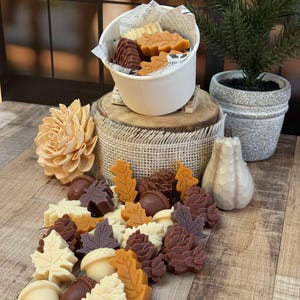 Strong Scented Fall Wax Melts, Fall Scented Wax Melts, Soy Beeswax Wax Melts, Fall Holiday Butterscotch Vanilla Scent, Holiday Gift for Her!