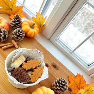 Strong Scented Fall Wax Melts, Fall Home Fragrance, Soy Beeswax Wax Melts, Fall Holiday Butterscotch Vanilla Scent, Holiday Gift for Her!