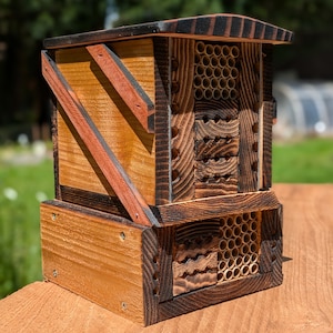 Mason Bee House, Mason Bee House +