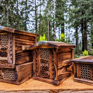 Mason Bee House, Mason Bee House +