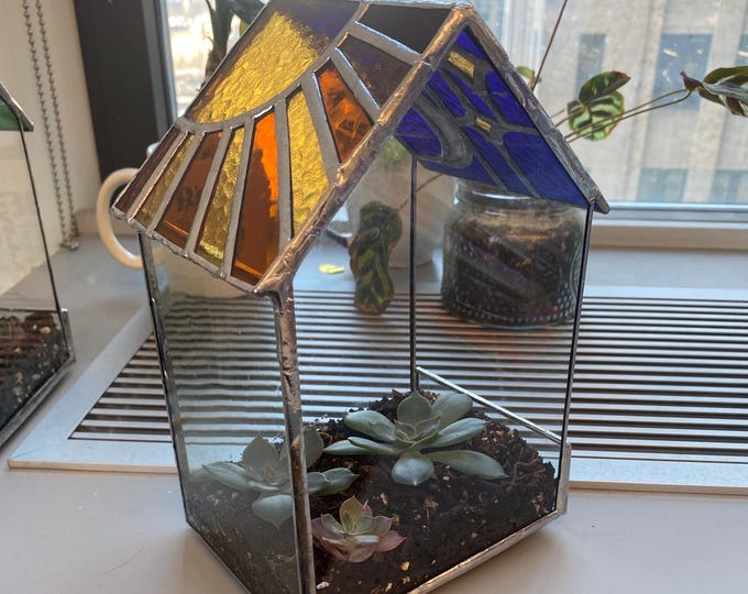 Mini Terrarium: Sun + Moon