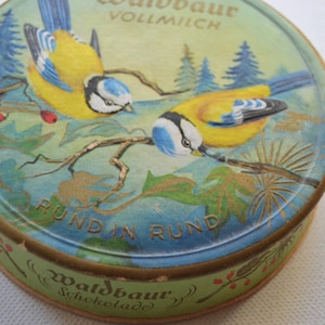 Feine kleine Pappschachtel Schokoladendose vintage Meisen Relief Waldbaur Schachtel Dose Deckeldose