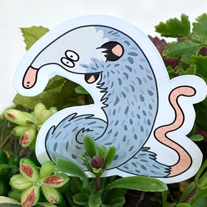 Possum on a String Vinyl Sticker