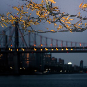 Wall Decor, Fine Art, Long Island City, New York Photography, Print, of Queensboro Bridge at Night