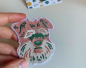 Colores Del Schnauzer Gigante El Schnauzer Miniatura