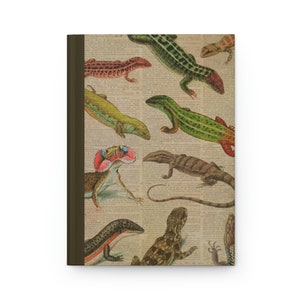 Lizard notebook, hardcover journal. Reptile notebook. Gecko bearded dragon lizard gifts.