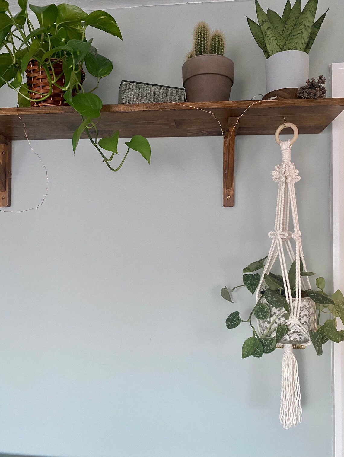 Plant Hanger Small Plant Hanger Boho Home Indoor Plants Unique Gifts
