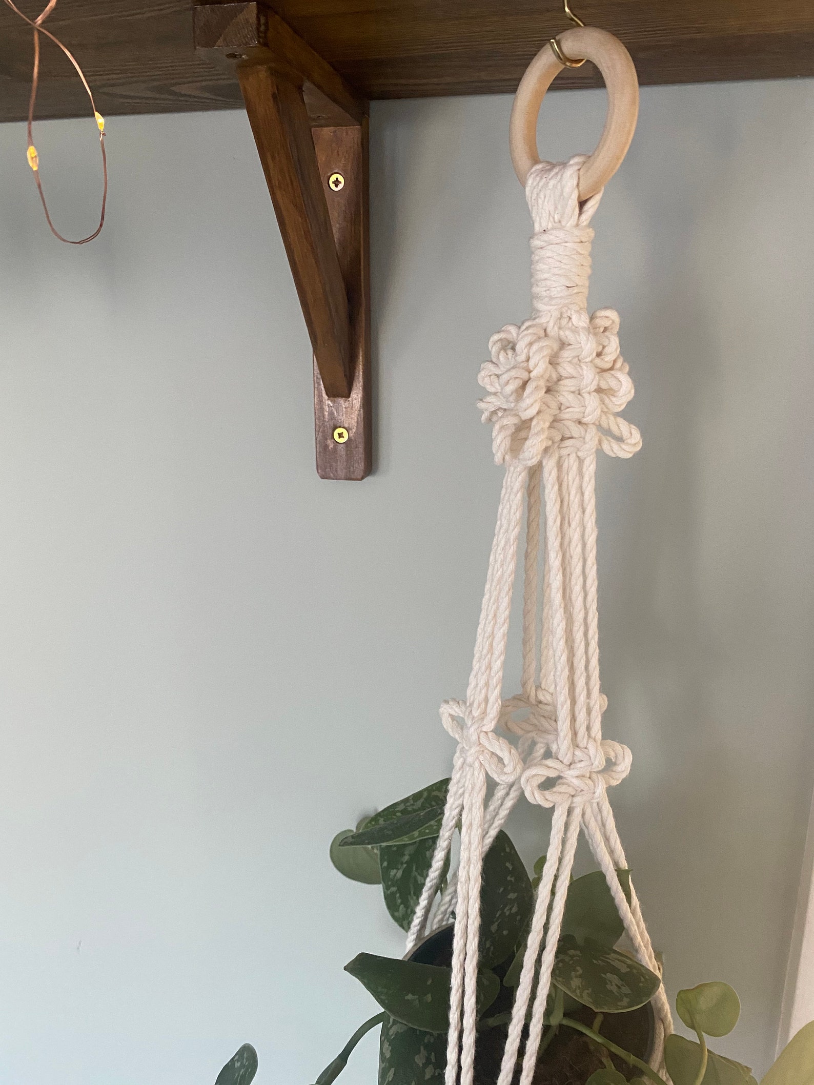 Plant Hanger Small Plant Hanger Boho Home Indoor Plants Unique Gifts