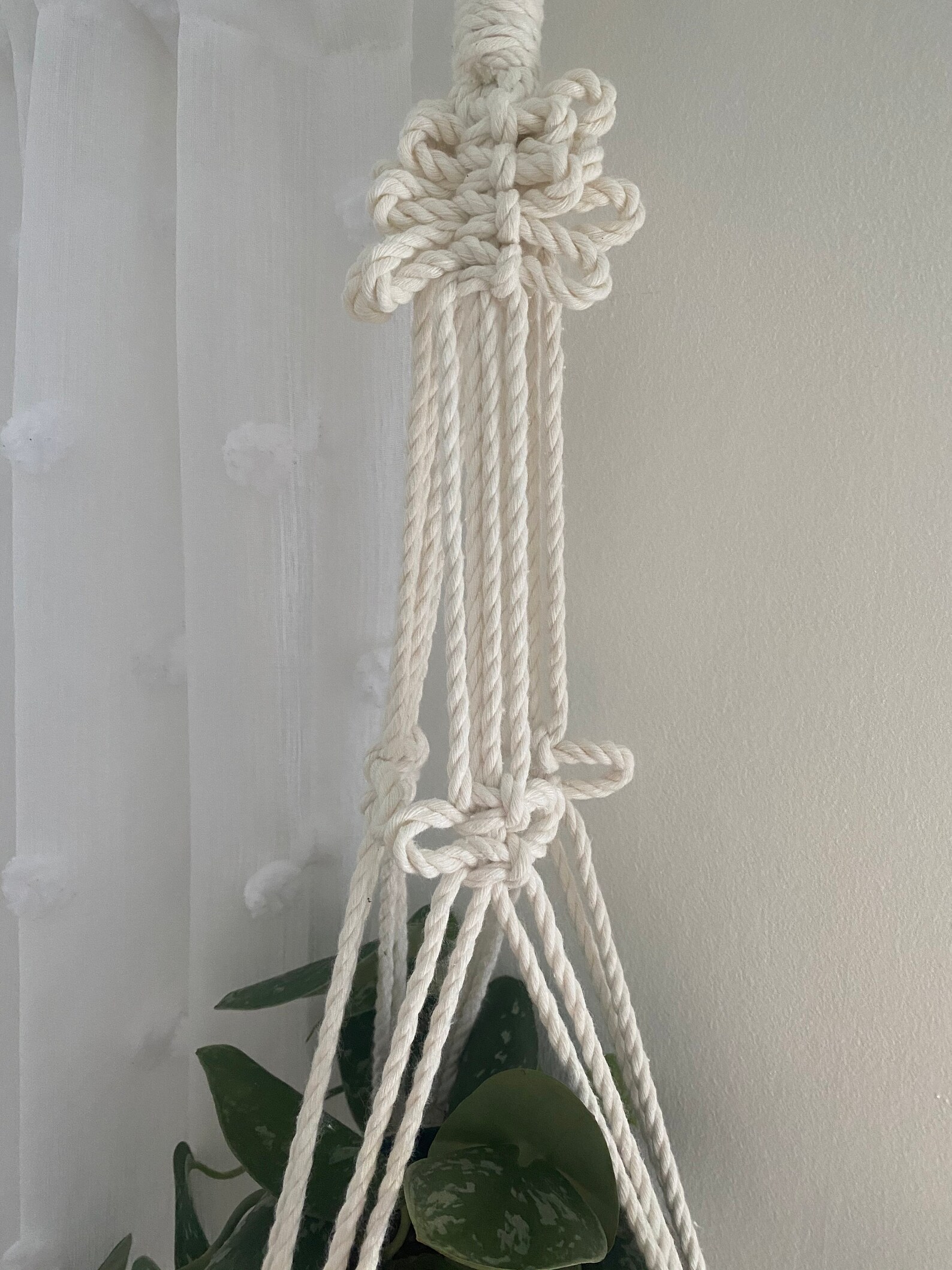 Plant Hanger Small Plant Hanger Boho Home Indoor Plants Unique Gifts