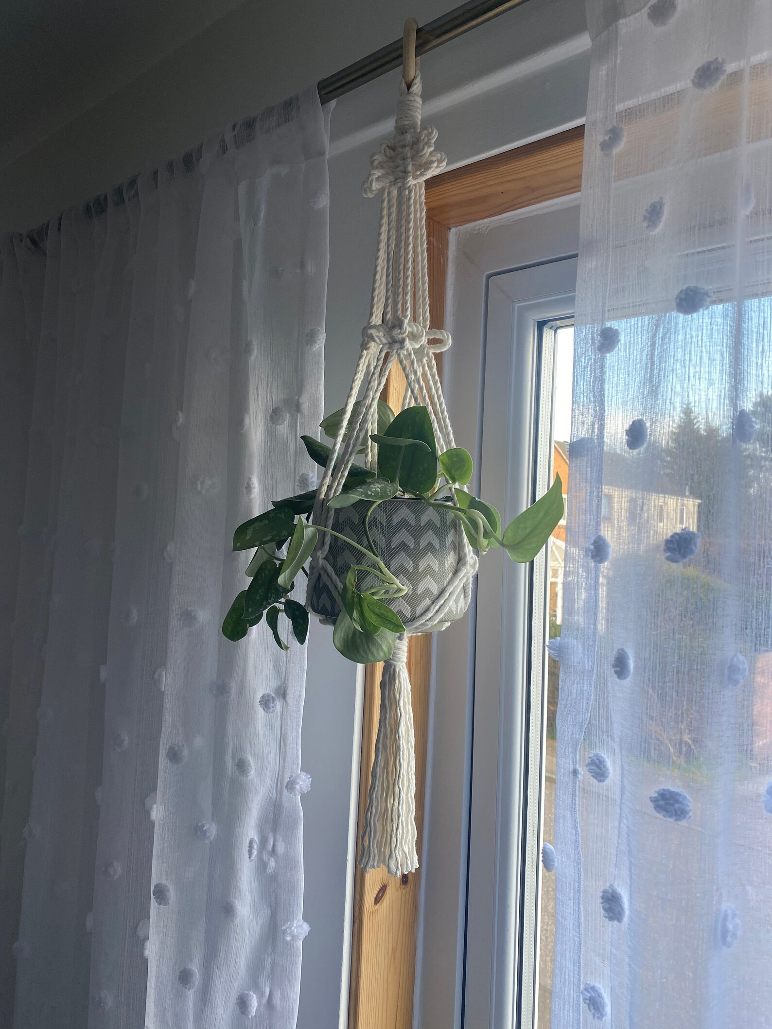 Plant Hanger Small Plant Hanger Boho Home Indoor Plants Unique Gifts